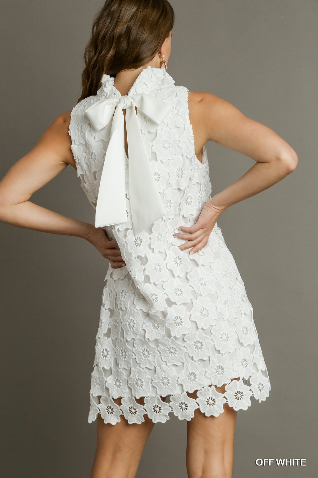 Floral Lace Sleeveless Dress