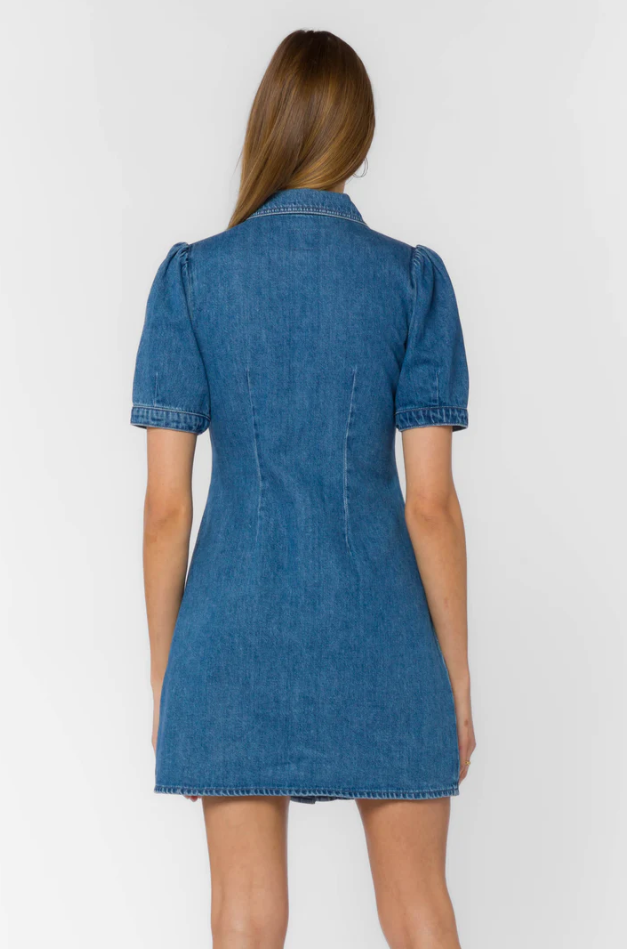 Romina Denim Dress