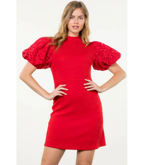 THML Mesh Sleeve Knit Dress in Red