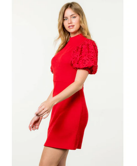 THML Mesh Sleeve Knit Dress in Red