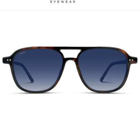 Hayden Double Bridge Sunglasses