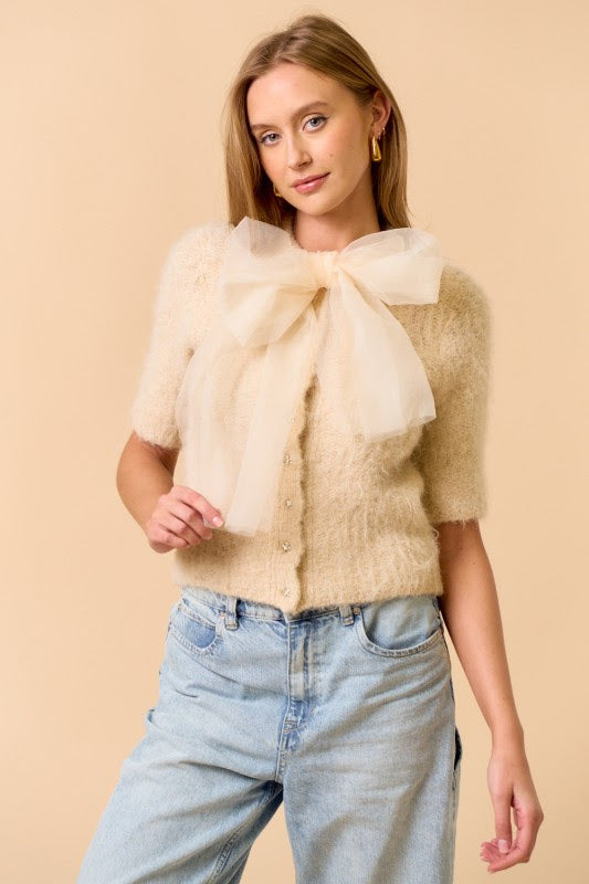Short Sleeve Sweater Top with Front Chiffon Bow